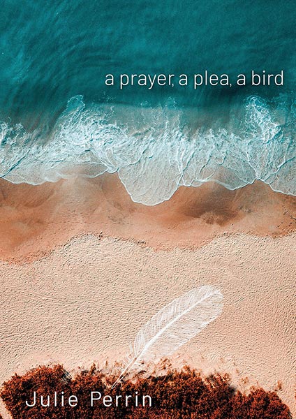Julie Perrin's a prayer, a plea, a bird